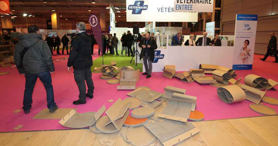 Le montage du stand